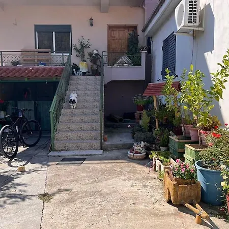 Monika House *